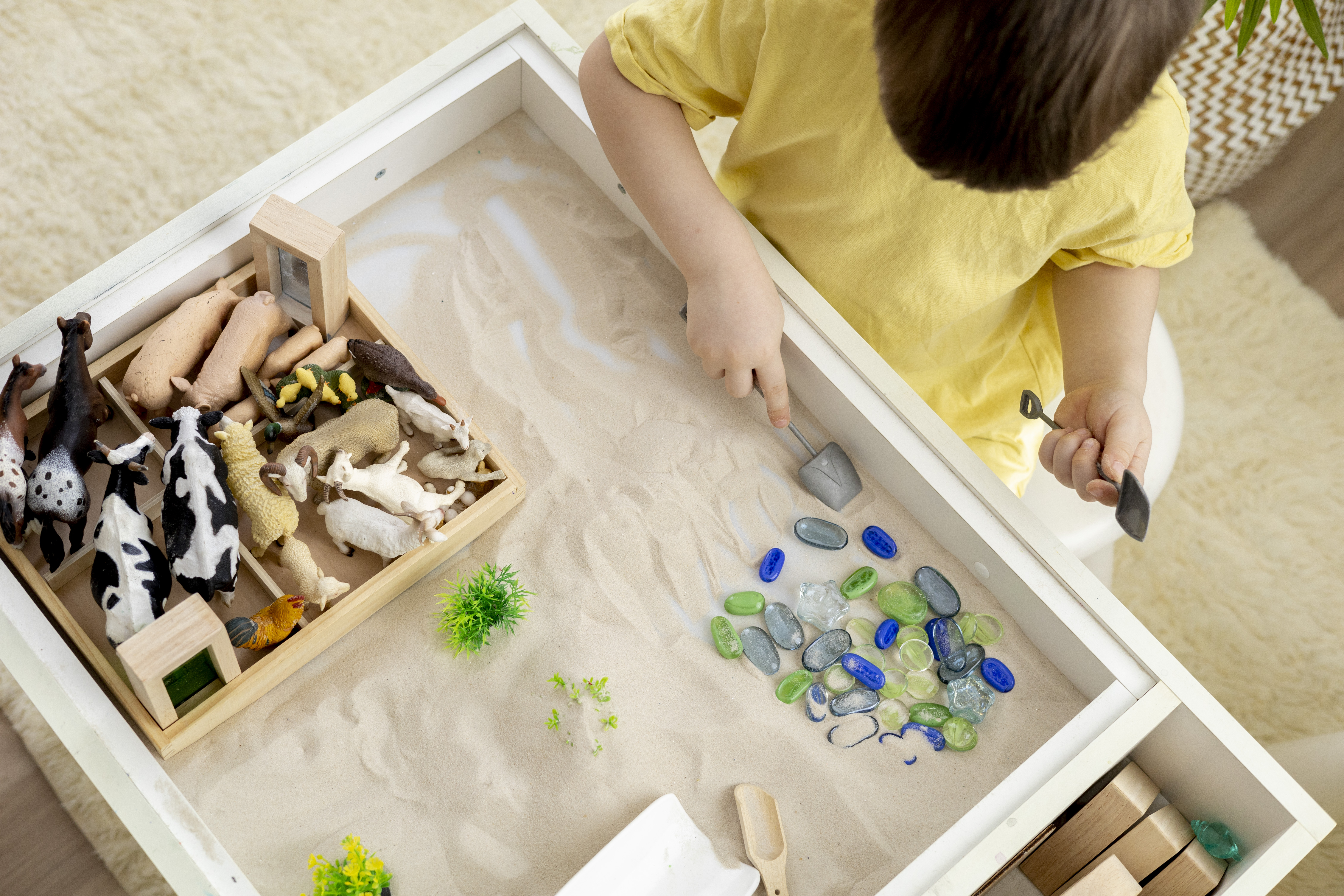 EMDR sandtray therapy session